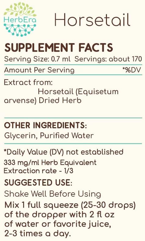 Horsetail B120 Alcohol-Free Herbal Extract Tincture, Concentrated Liquid Drops Natural (Equisetum arvense) 4 fl oz
