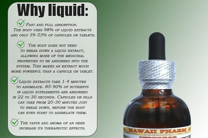 Galangal Root Alcohol-Free Liquid Extract, Organic Organic Galangal (Alpinia Galangal) Dried Root Glycerite Hawaii Pharm Natural Herbal Supplement 32 oz Unfiltered