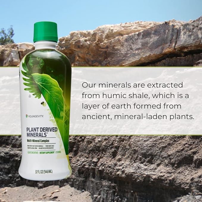 Youngevity Plant Derived Liquid Minerals - 77+ Natural Unaltered Trace Minerals - 19,000mg Plant Mineral Solids - Colloidal Form Humic Shale - (32 oz Pack of 3)