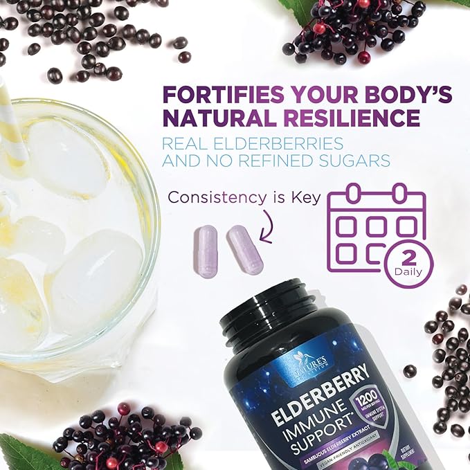 Elderberry Immune Support Extract Capsules - Daily Immune Support for Adults with Natural Sambucus Black Elderberry Antioxidant - No Sugar & Gluten Free Vitamin, Non-GMO Supplement - 60 Capsules