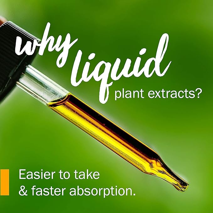 Herb Pharm Liquid Extract for Healthy Veins and Circulation, Horse Chestnut, 1 Fl Oz (Pack of 2)