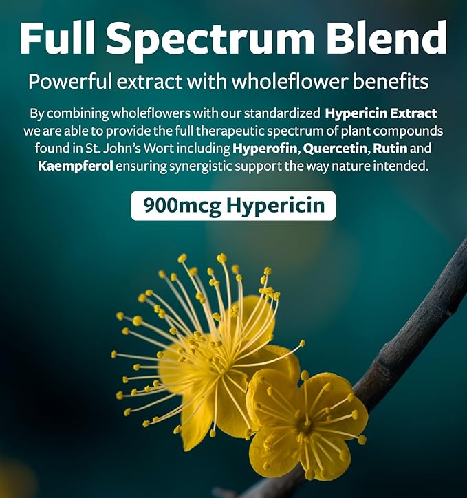 St. John's Wort - 180 Capsules (Non-GMO) Effective St Johns Wort Capsules - Powerful 900mcg Hypericin - Standardized Extract & Whole Herb Supplement - No Oil, Pills, Tea, Tincture - 500mg Per Capsule