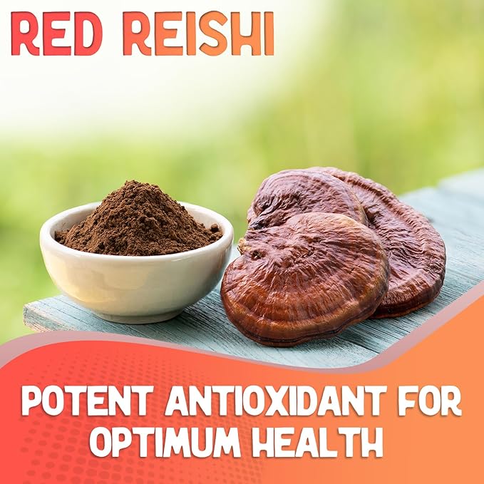 XPRS Nutra Fungi Fusion Organic Mushroom Powder Blend, Premium Blend of Lion's Mane, Reishi, Chaga, Cordyceps for Mental Clarity, Cognition, Energy and Immunity - 16 Ounce