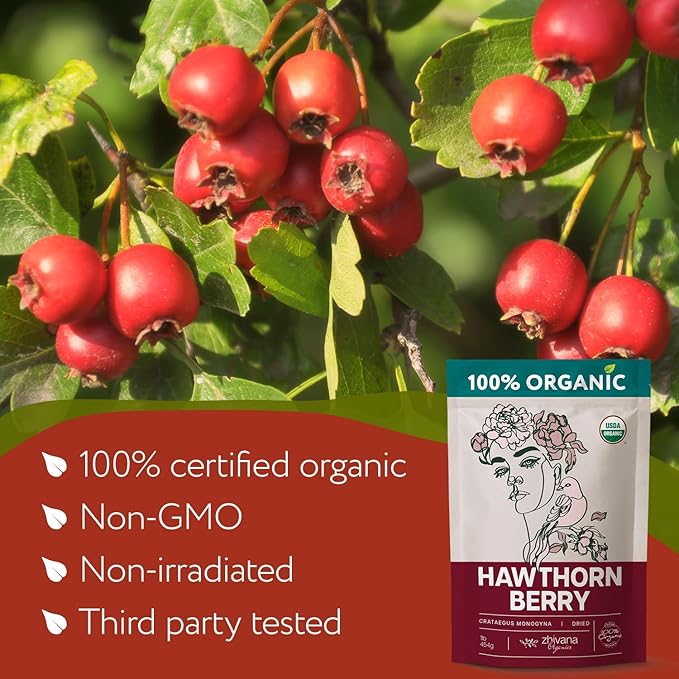 Hawthorn Berry Tea Organic (8 oz.) - Dried Hawthorne Berries - Hawthorn Tea for Blood Pressure Balance - Herbal Remedy for Healthy Heart