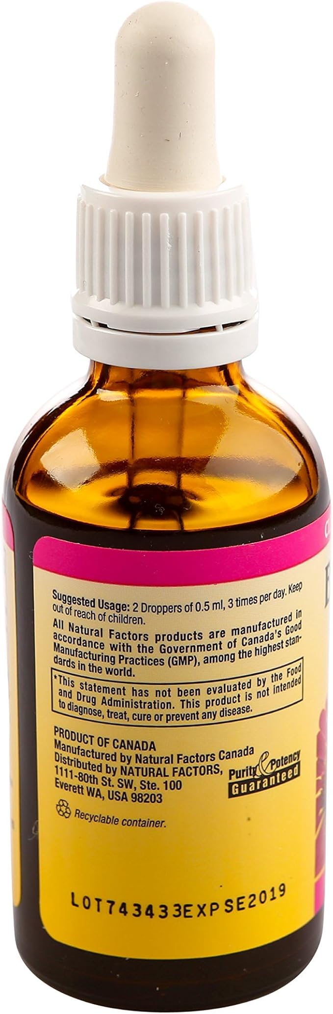 Natural Factors - Echinamide Echinacea Fresh Herb Extract, Immune System Support, 30 Servings (1.7 oz)