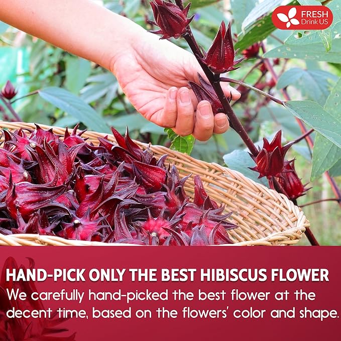 FreshDrinkUS, Premium 28oz Hibiscus Flower Powder, 100% Natural and Pure from Hibiscus Flowers, Natural Food Coloring, Hibiscus Flowers Tea, No Additives, No Gluten, No Sugar, Vegan