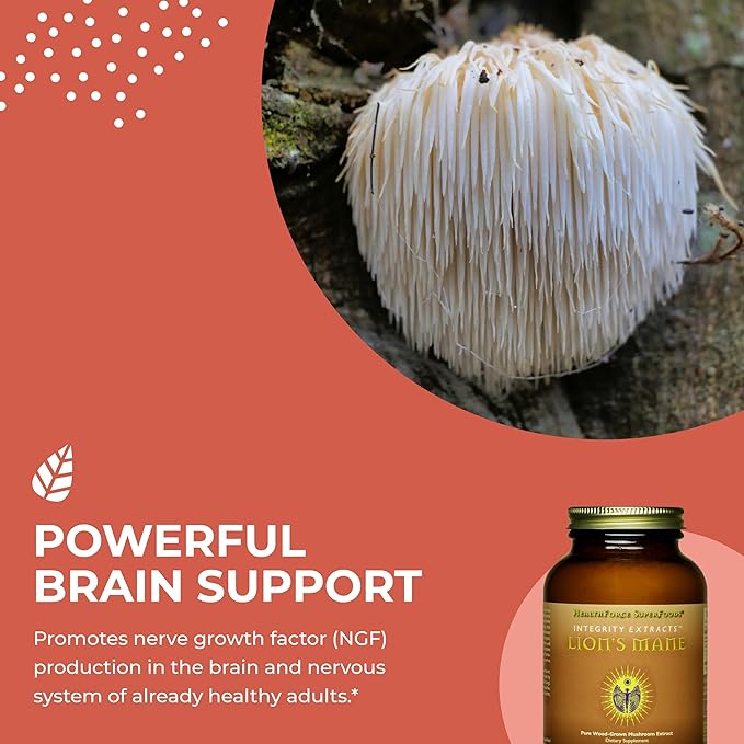HealthForce SuperFoods Integrity Extracts Lion's Mane - Powder - 60 Grams
