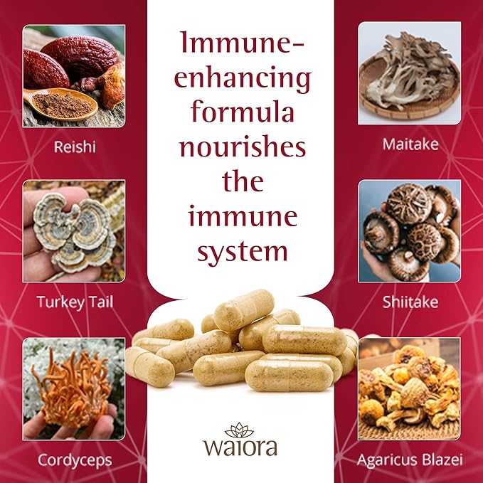 Waiora MegaDefense Mushroom Supplement - Mushroom Capsules for Daily Wellness, 6 Mushrooms Supplement: Reishi Mushroom, Turkey Tail, Cordyceps, Maitake, Agaricus & Shiitake, Non-GMO (60 Veggie Caps)…