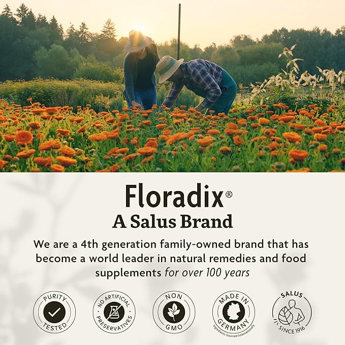 Floradix Iron Sport Liquid Mineral & Vitamin Formula - Daily Vitamin for Nutritional & Energy Support - Sports Nutrition with Iron, B Vitamins & More - Vegan & Non-GMO - 8.5 fl oz