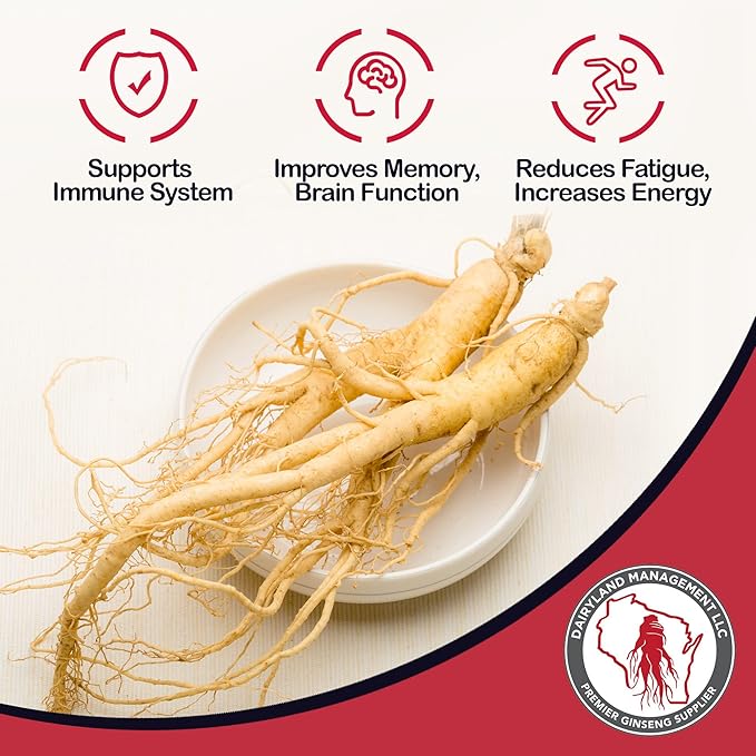 Dairyland American Ginseng Slices and Roots - 4 oz Pack Each of Wisconsin Ginseng – Direct from Farmer to Consumer 西洋参