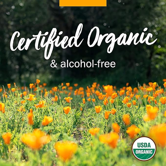 Herb Pharm Certified Organic Meadowsweet Liquid Extract for Minor Pain - 1 Ounce (DMEAD01) (Pack of 3)