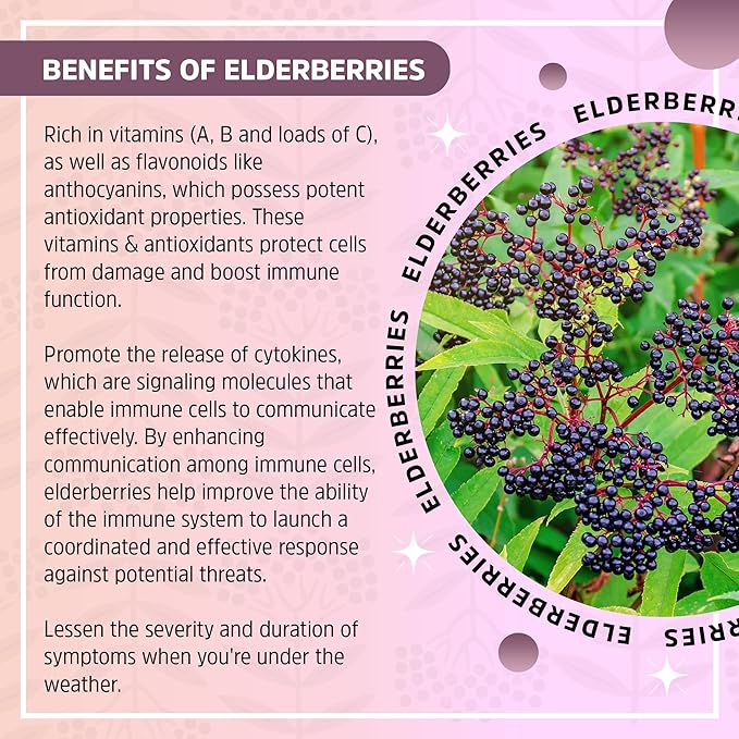 Herbal Supplement Starter Set – A 16oz Bottle of Elderberry Syrup with Maple & a 2oz Bottle of Elderberry to-Go Seasonal Support Made from Only Organic Ingredients in The USA