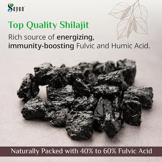 Sayan Siberian Chaga Mushroom Extract with Shilajit 90 Capsules/420mg ea.– Immune and Digestion System Support – Fulvic Acid Supplement – Energy & Clarity – Exclusive Blend – No Fillers