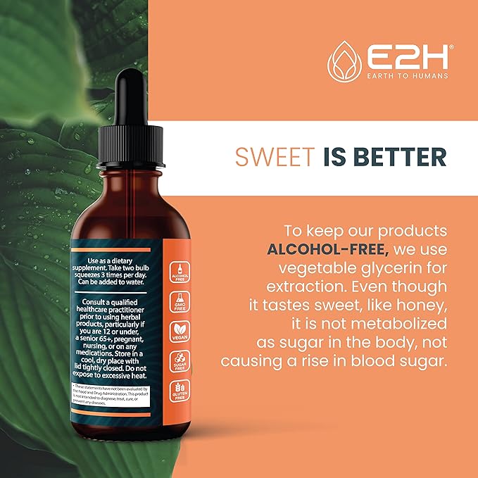 E2H Cordyceps Mushroom Extract - All-Natural Immune System, Energy & Stamina Support from Advanced Mushroom Supplement - Cordyceps Mushrooms Supplement - Non-GMO, Vegan - (2 Bottles)