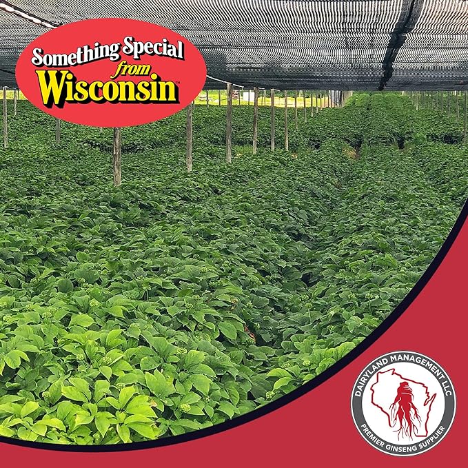 Dairyland American Ginseng Slices and Powder - 8 oz Pack Each of Wisconsin Ginseng – Direct from Farmer to Consumer 西洋参
